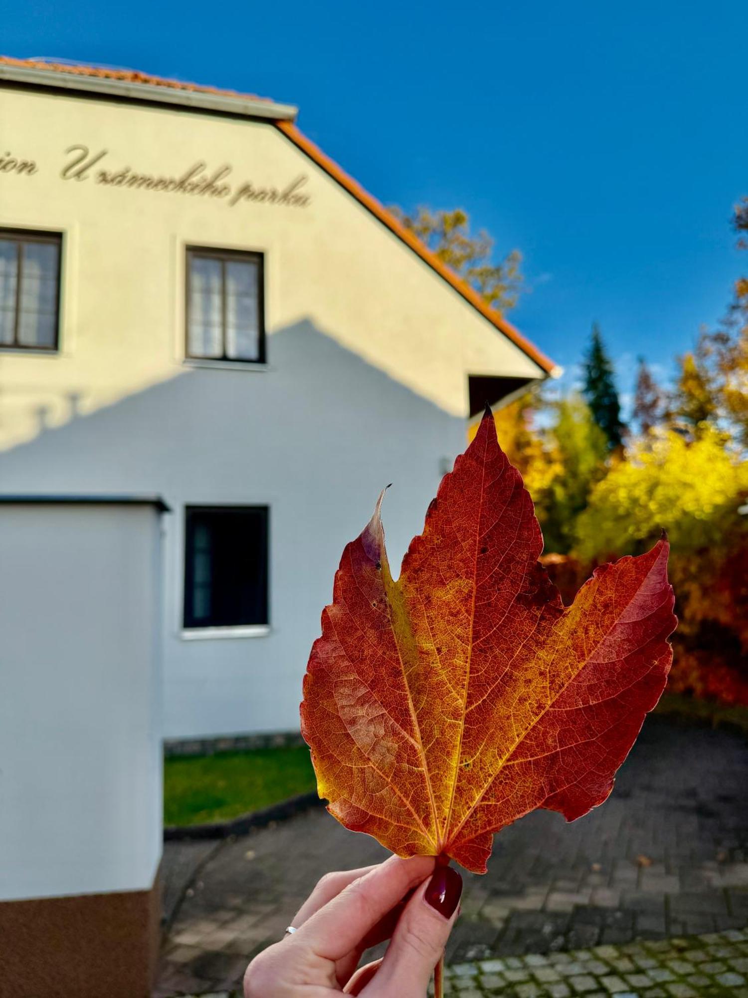 Penzion U zámeckého parku Třeboň Exteriér fotografie