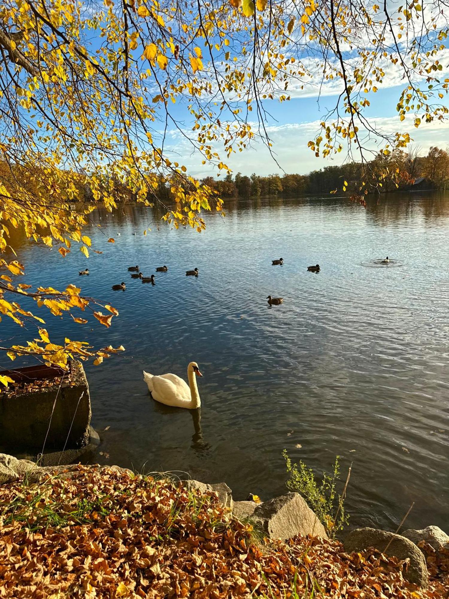 Penzion U zámeckého parku Třeboň Exteriér fotografie